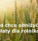 W Brukseli się nie udało, to poudajemy w Polsce