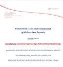 Konsultacje spoleczne strategii Morawieckiego